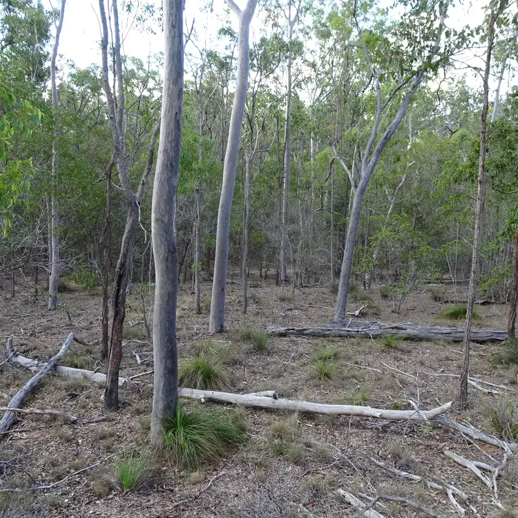 Main view of Homely rural property listing, 418 MARULE ROAD, Booyal QLD 4671