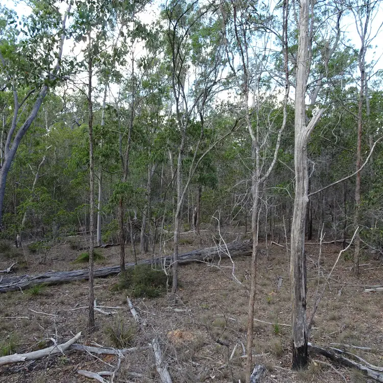 Second view of Homely rural property listing, 418 MARULE ROAD, Booyal QLD 4671