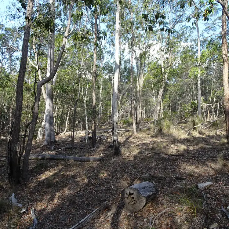 Fourth view of Homely rural property listing, 418 MARULE ROAD, Booyal QLD 4671