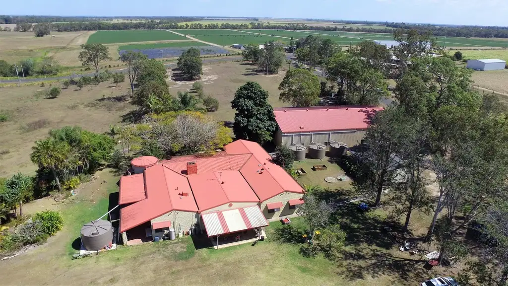 Main view of Homely house listing, 14 Palm Spring Drive, Calavos QLD 4670