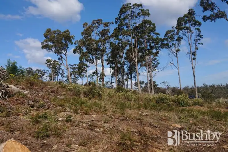 Main view of Homely land listing, 9 Atratus Rise, Swan Bay TAS 7252