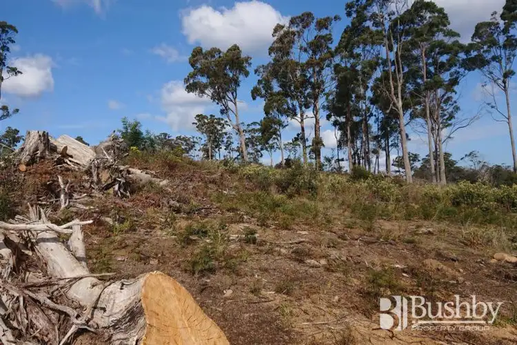 Fifth view of Homely land listing, 9 Atratus Rise, Swan Bay TAS 7252