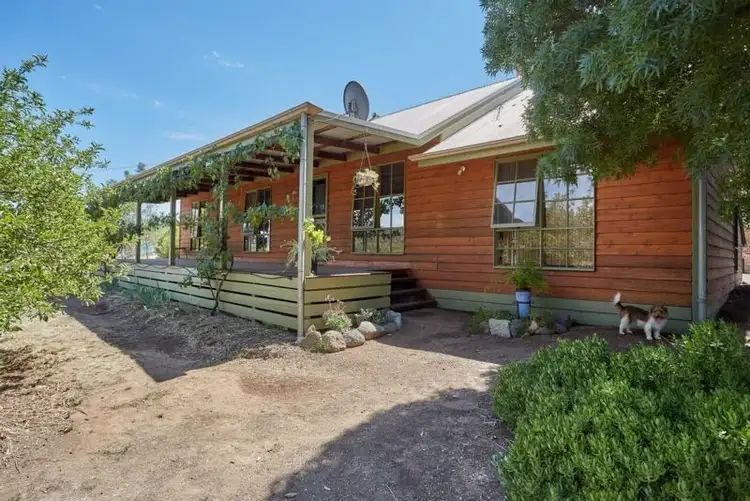 Main view of Homely house listing, 156 Belvoir Park Road, Lockwood South VIC 3551