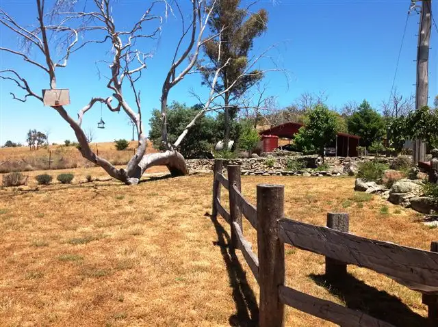 Seventh view of Homely house listing, 654 Dalgety Road, Berridale NSW 2628