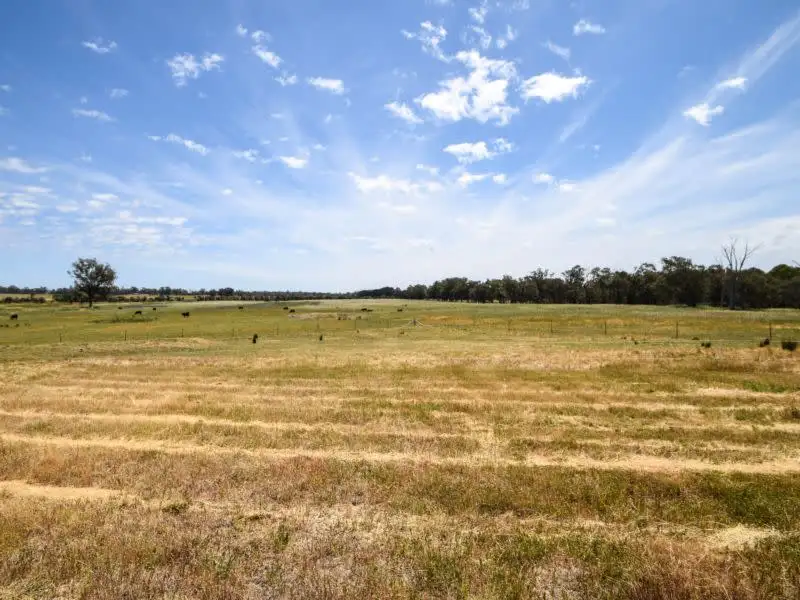Main view of Homely rural property listing, 1945 Wangaratta Yarrawonga Road, Peechelba VIC 3678