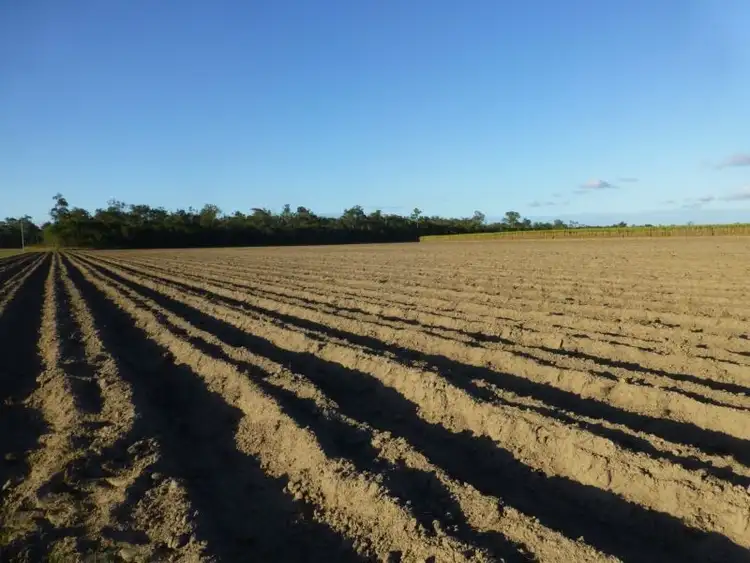 Second view of Homely rural property listing, 44a SMITHS ROAD, Redridge QLD 4660