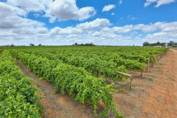 Seventh view of Homely house listing, 493 Quena Street, Red Cliffs VIC 3496