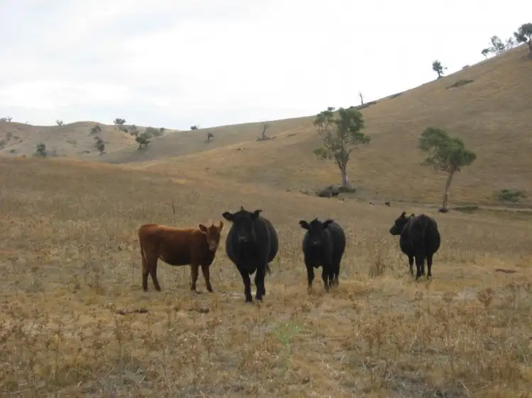 Fourth view of Homely land listing, Fifeshire Road, Goodhope, Yass NSW 2582