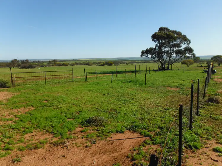 Main view of Homely rural property listing, LOT 1340 Daddow Road, Mukinbudin WA 6479