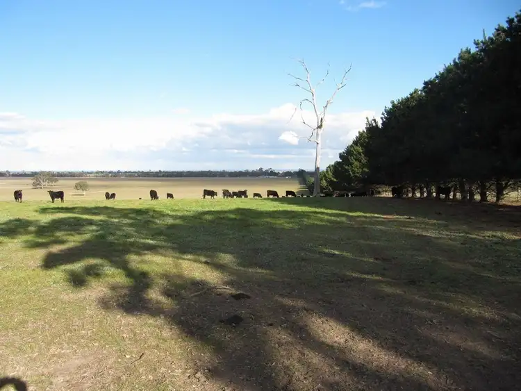 Sixth view of Homely land listing, 859 Stratford-Bengworden Road, Perry Bridge VIC 3862