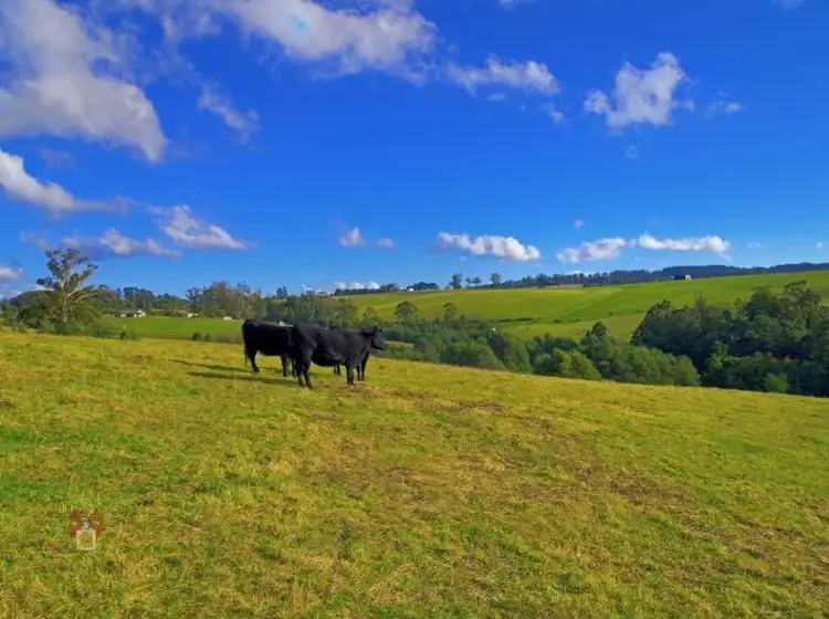 Main view of Homely rural property listing, 8 James Street, Kinglake VIC 3763
