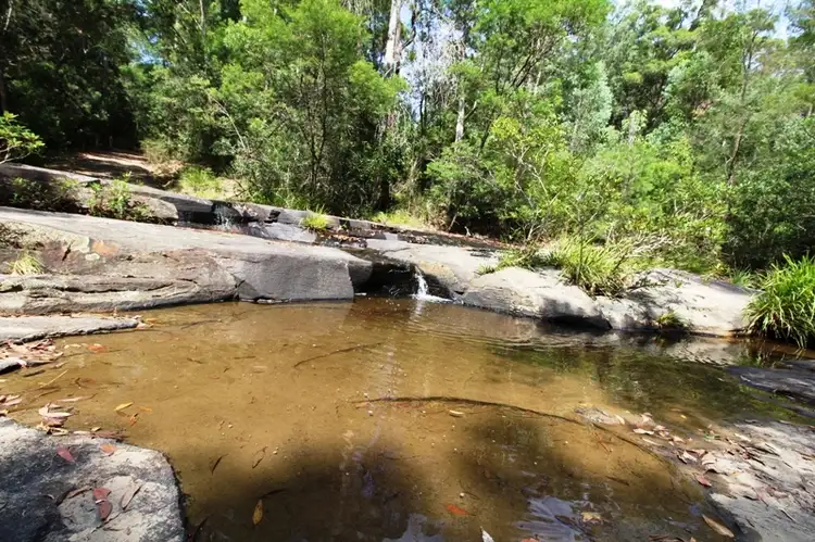 Third view of Homely rural property listing, 252 Wangat Trig Road, Dungog NSW 2420