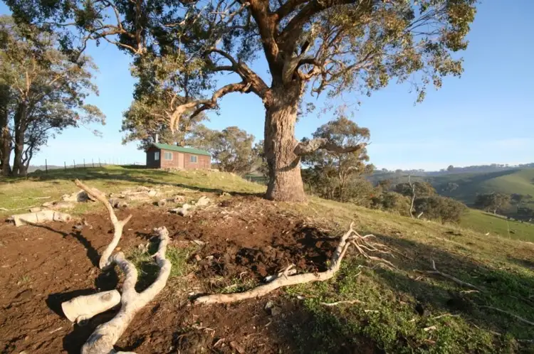 Second view of Homely rural property listing, 4782 Yea Whittlesea Road, Yea VIC 3717