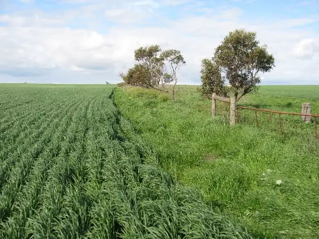 215,216 Hundred of Wauraltee, Maitland SA 5573