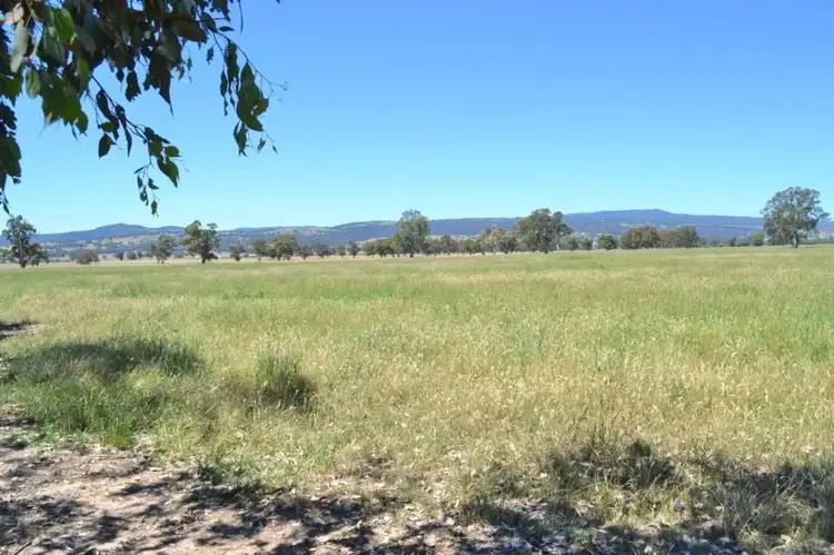 Fifth view of Homely rural property listing, LOT 1 Barwite Road, Mansfield VIC 3722