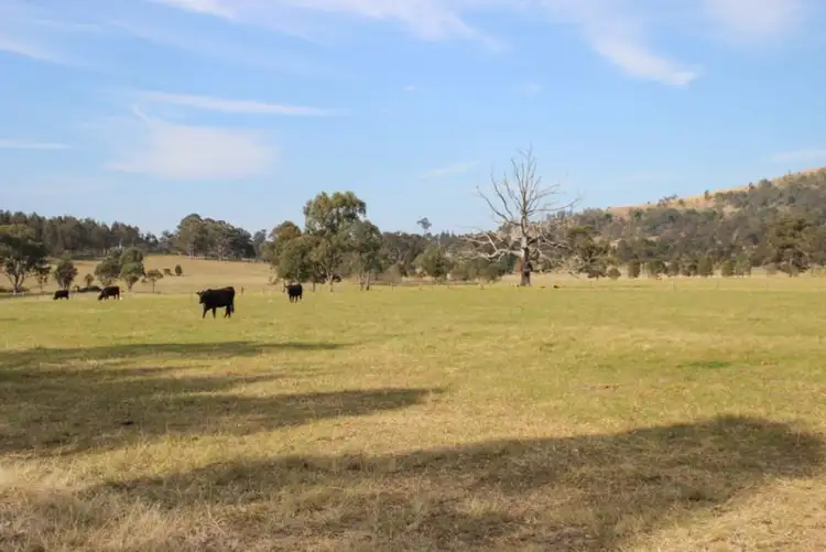 Fifth view of Homely land listing, Lot 61 2680 Glendonbrook Road, Gresford NSW 2311