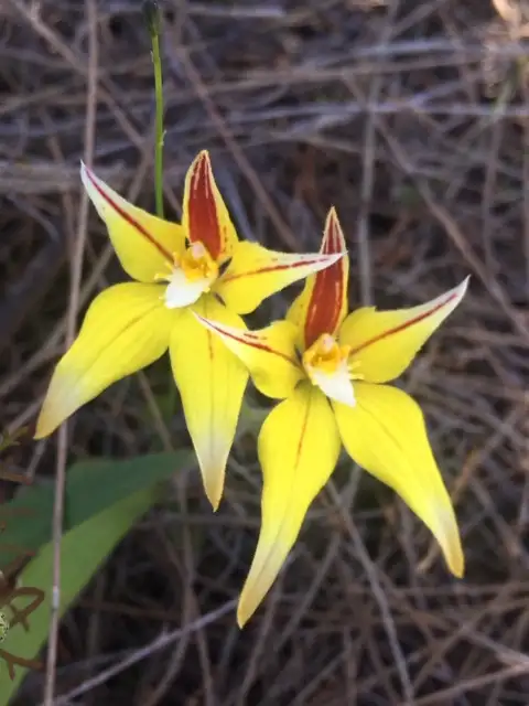 Seventh view of Homely rural property listing, 344 Badgin road, York WA 6302