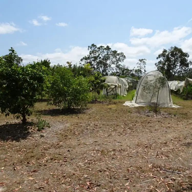 Fifth view of Homely rural property listing, 1308 BUXTON ROAD, Buxton QLD 4660