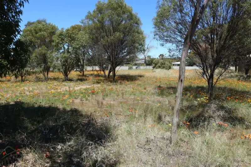 Main view of Homely land listing, 10 Stone Street, Quairading WA 6383