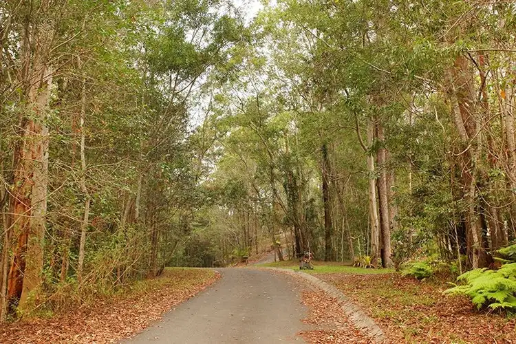 Third view of Homely house listing, 36 Platypus Creek Road, Dulong QLD 4560