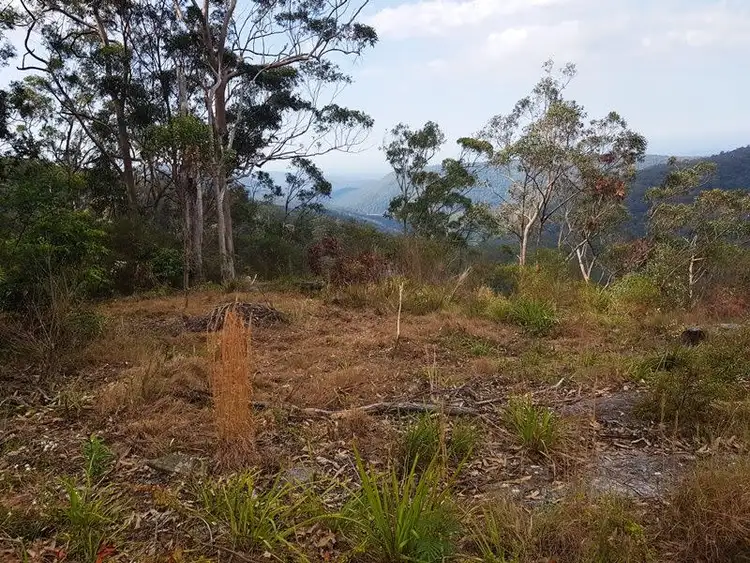 2213 Springbrook Road, Springbrook QLD 4213