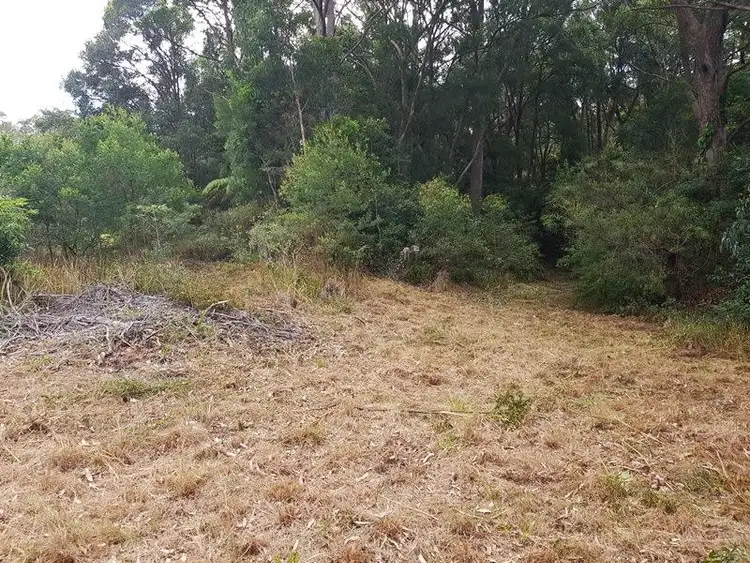 Third view of Homely land listing, 2213 Springbrook Road, Springbrook QLD 4213