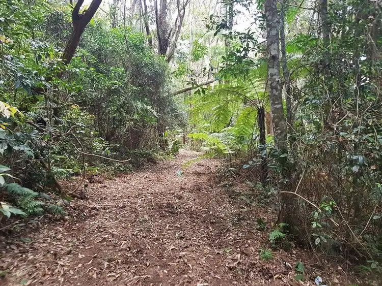 Fifth view of Homely land listing, 2213 Springbrook Road, Springbrook QLD 4213