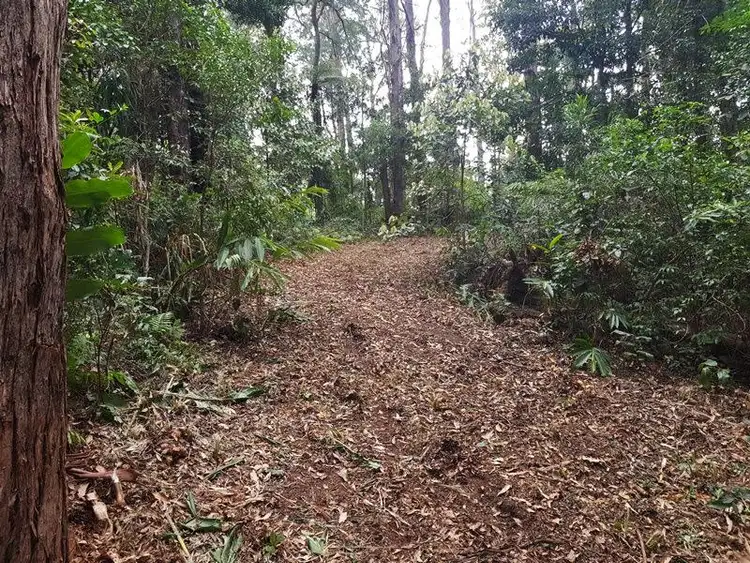 Seventh view of Homely land listing, 2213 Springbrook Road, Springbrook QLD 4213
