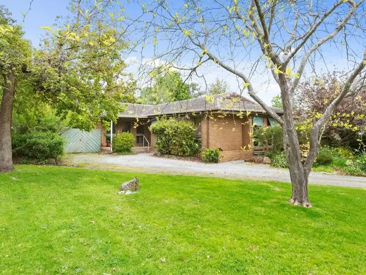 12 Daffodil Road, Boronia VIC 3155