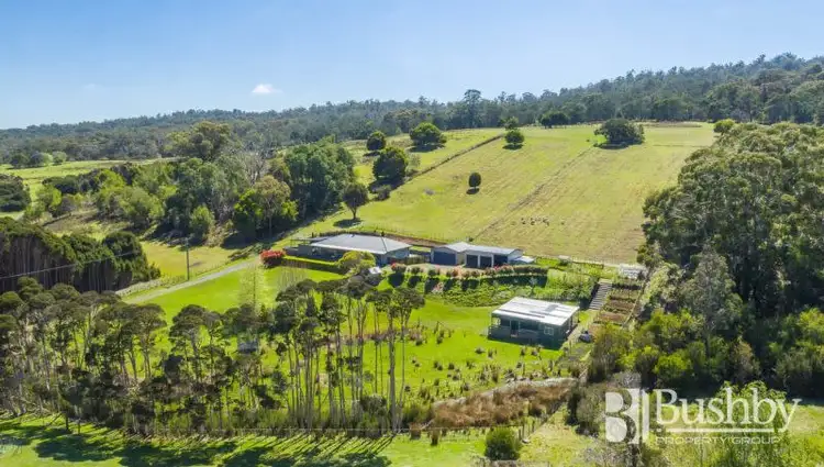 Fifth view of Homely house listing, 48 Swan Drive, Swan Bay TAS 7252