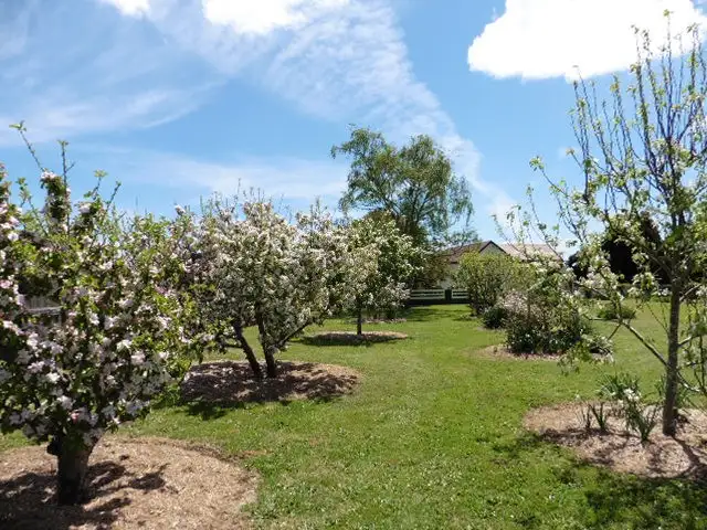 Seventh view of Homely house listing, 10 Carisbrook Lane, Legerwood TAS 7263