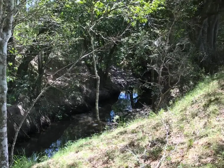 Seventh view of Homely rural property listing, 693 Alison Road, Alison Via, Dungog NSW 2420