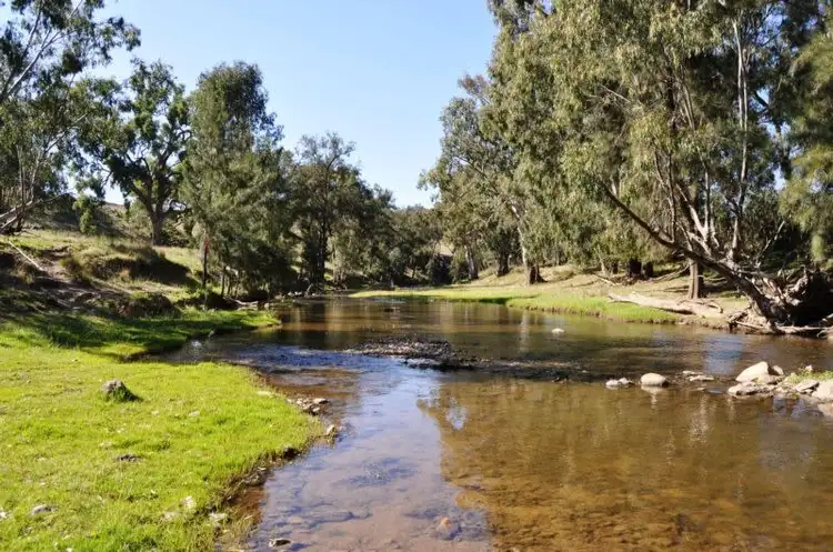 Main view of Homely rural property listing, 3697 Yarrabin Road, Gulgong NSW 2852