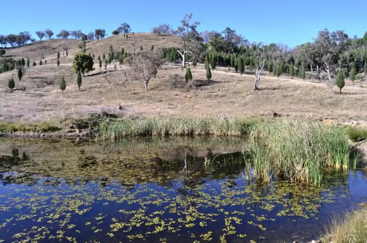 Fourth view of Homely rural property listing, 3697 Yarrabin Road, Gulgong NSW 2852