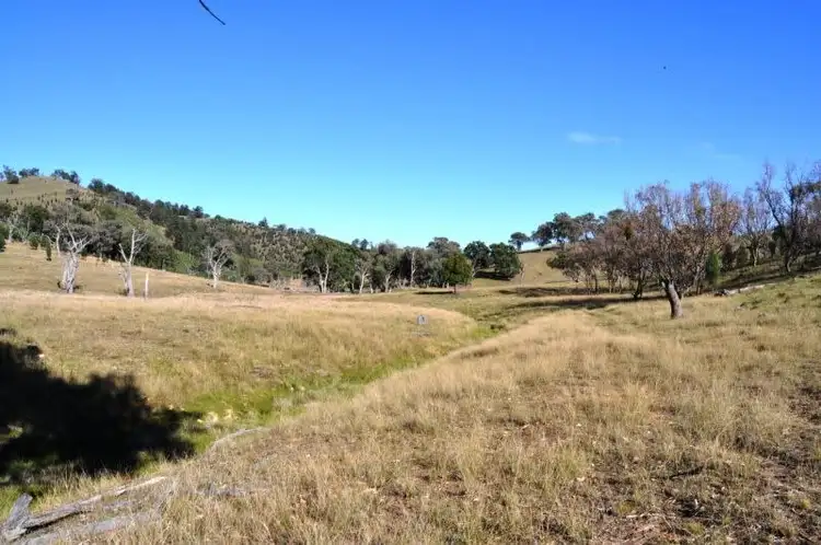 Fifth view of Homely rural property listing, 3697 Yarrabin Road, Gulgong NSW 2852