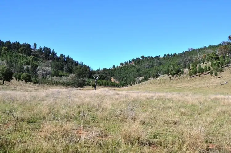 Seventh view of Homely rural property listing, 3697 Yarrabin Road, Gulgong NSW 2852