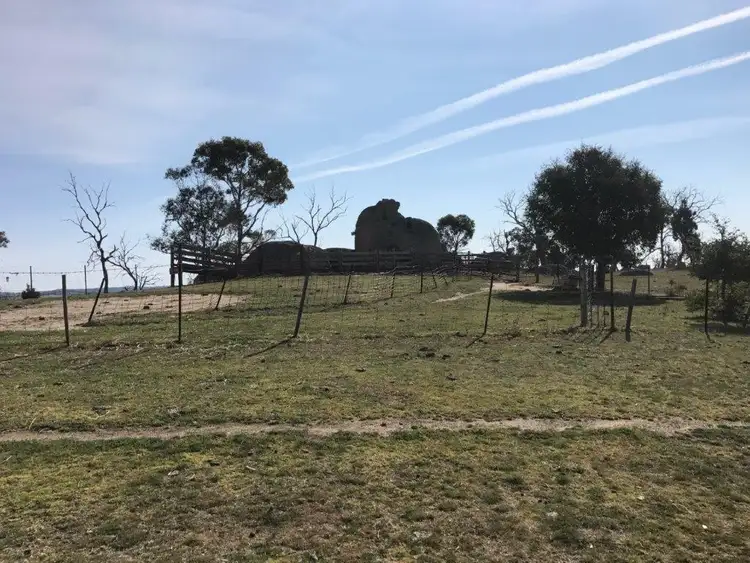 Seventh view of Homely rural property listing, 91 Hickory Dale Road, Berridale NSW 2628
