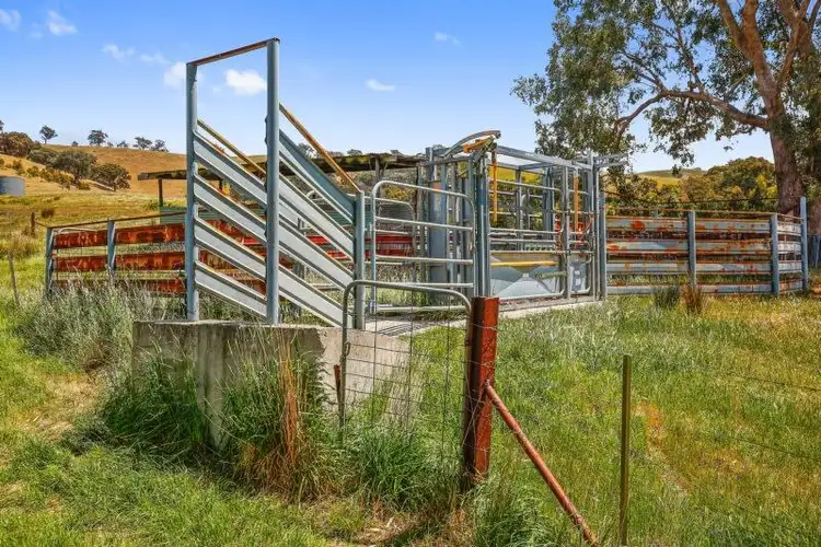 Seventh view of Homely rural property listing, 522 Clarks Road, Yea VIC 3717