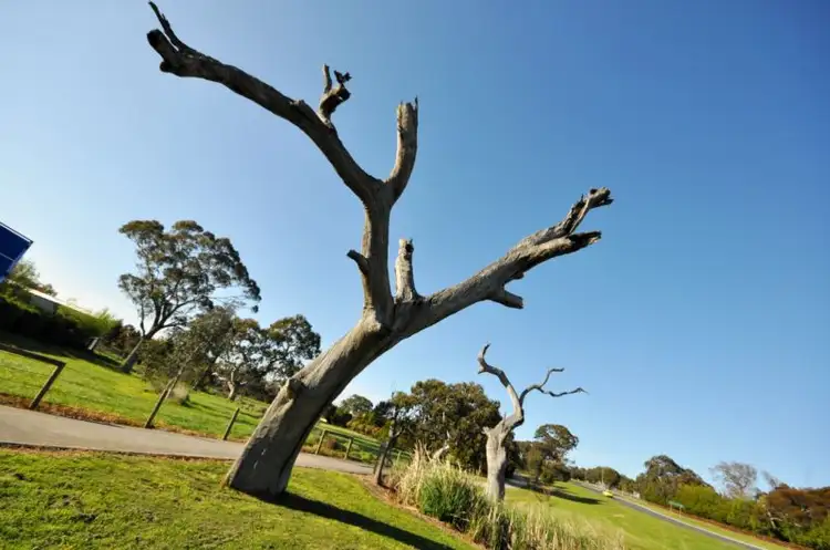 Fourth view of Homely land listing, LOT 2, 9 Queensferry Place, Greenvale VIC 3059