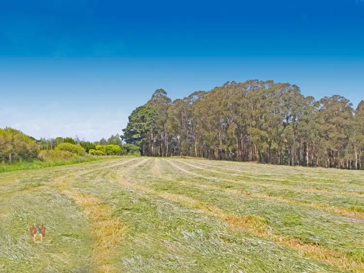 Fourth view of Homely land listing, 272 Extons Road, Kinglake VIC 3763