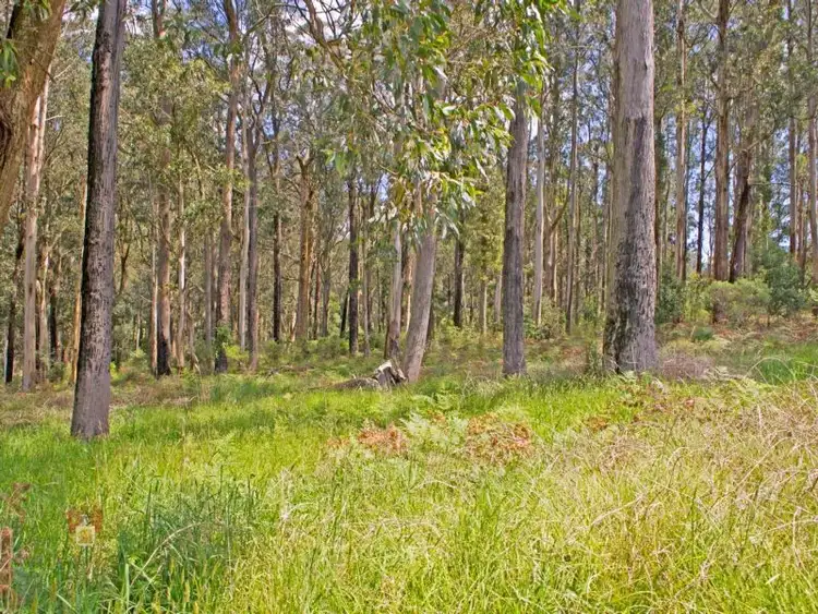 Fifth view of Homely land listing, 272 Extons Road, Kinglake VIC 3763
