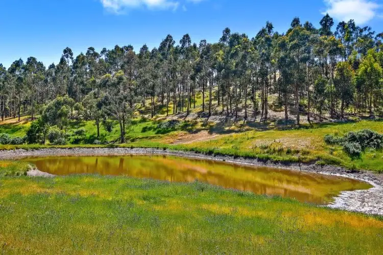 Second view of Homely rural property listing, 151 Landmark Lane, Flowerdale VIC 3717