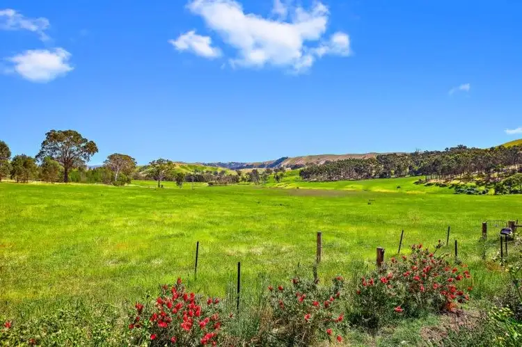 Fourth view of Homely rural property listing, 151 Landmark Lane, Flowerdale VIC 3717