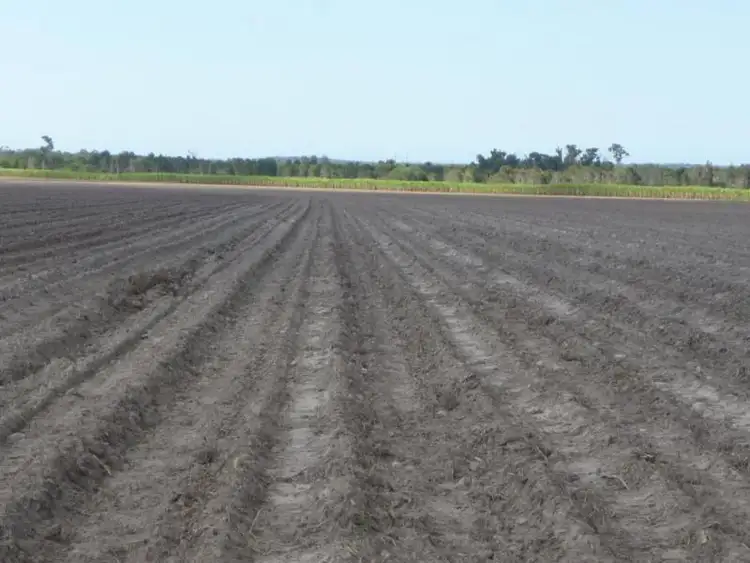 Seventh view of Homely rural property listing, Gastons Road, North Isis QLD 4660