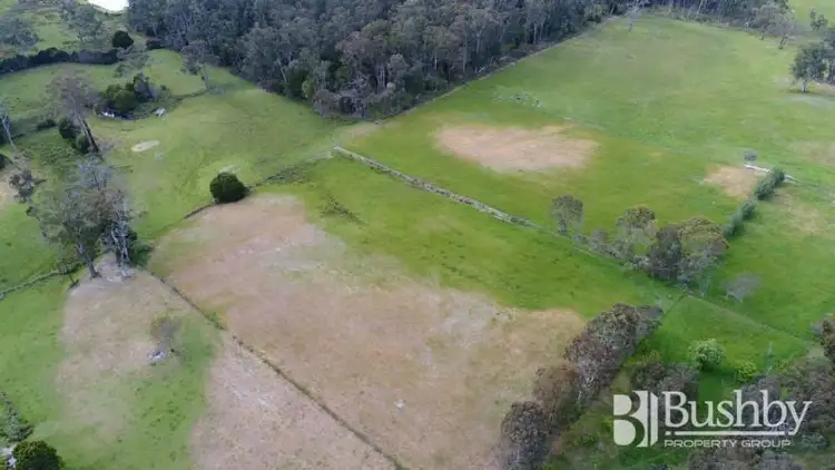 Fourth view of Homely house listing, 61 Everest Road, Exeter TAS 7275