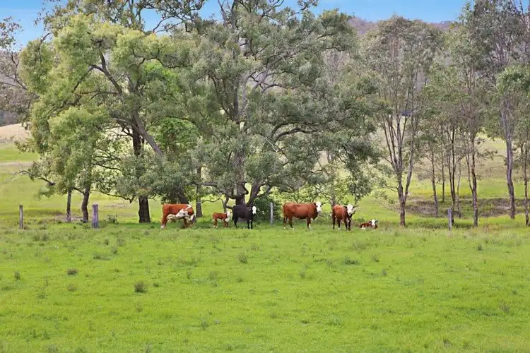 Third view of Homely rural property listing, 374 Torryburn Road, TORRYBURN Via, Paterson NSW 2421