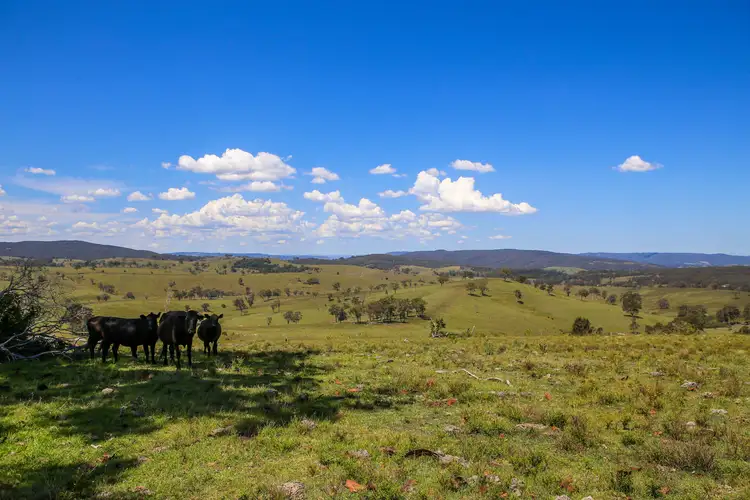 Main view of Homely rural property listing, 1394 Webbers Creek Road, Paterson NSW 2421
