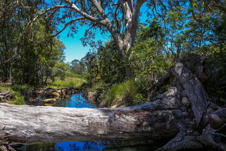 Third view of Homely rural property listing, 1394 Webbers Creek Road, Paterson NSW 2421