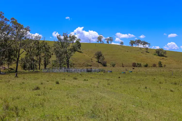 Fourth view of Homely rural property listing, 1394 Webbers Creek Road, Paterson NSW 2421