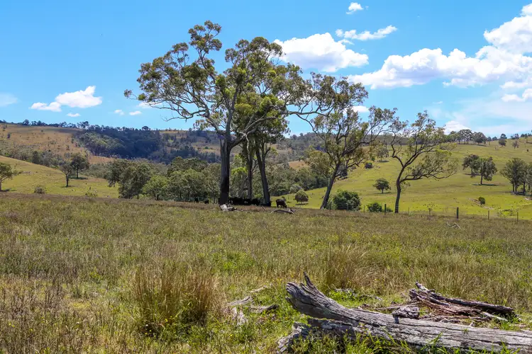 Seventh view of Homely rural property listing, 1394 Webbers Creek Road, Paterson NSW 2421